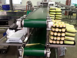 Horizontal Vegetable Sorting Conveyors