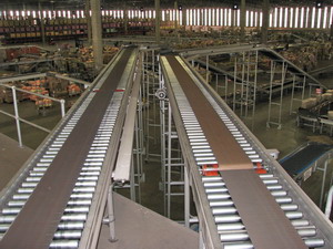 Belt Over Roller Conveyors