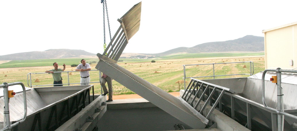 Wine Industry Conveyor 8